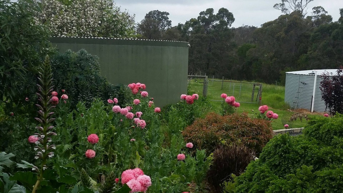 Kalgan Other | A spacious riverside retreat suited to families, larger groups and couples