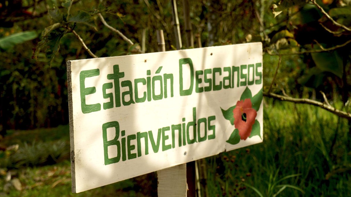 Santiago Cabin | A Station In your Life Path You Will Never Forget And Will Be Wanting To Return