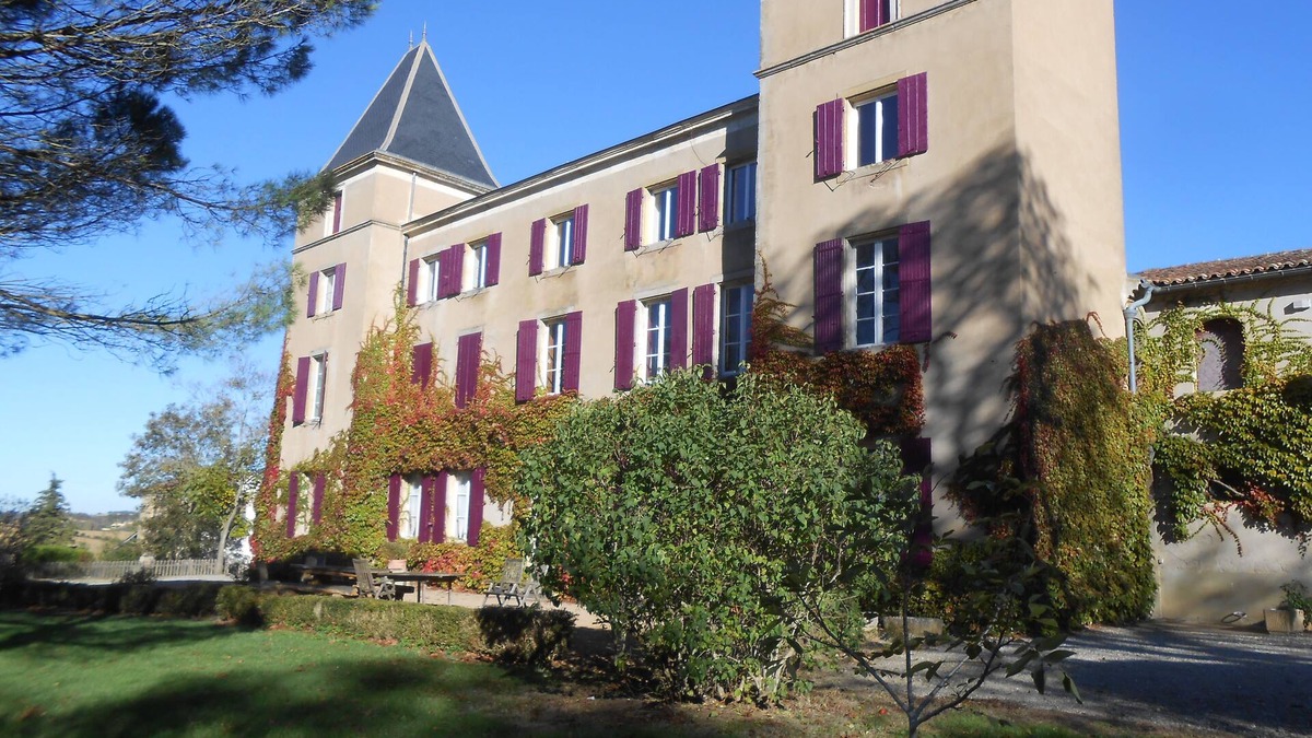 Pech-Luna House | A stunning 1800 Castle near Carcassonne, Mirepoix. Large pool with diving board.