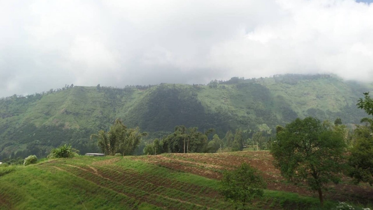 Sukapura Apartment | A twinbedroom private bathroom 30 minutes to Madakaripura waterfall