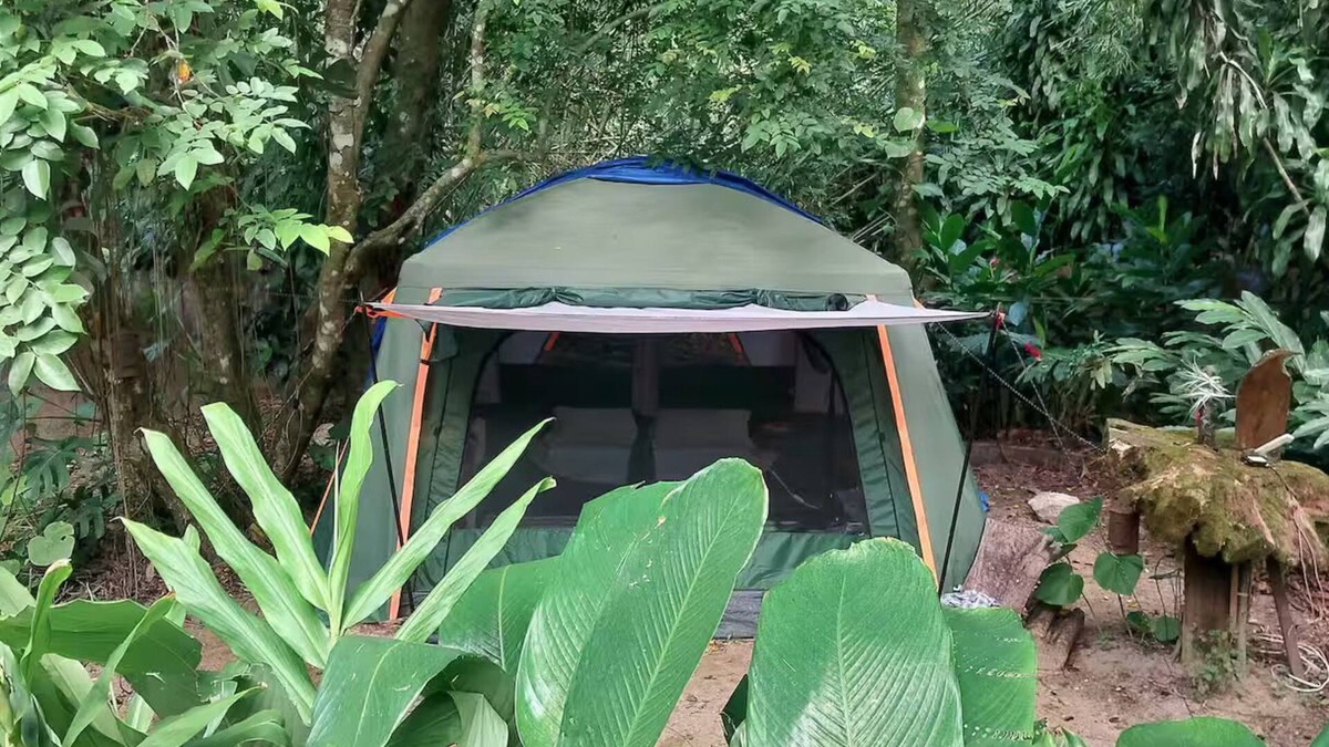 Praia do Pauba Cabin | A unique immersion in Nature!