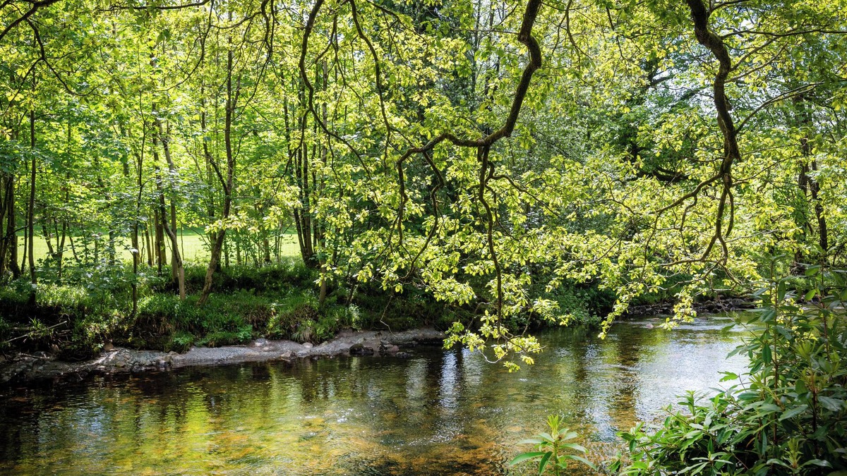 Boot House | A very Big House in the Country nestled in the heart of the Lake District