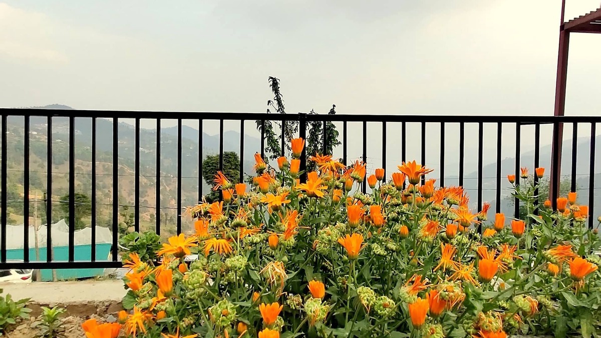 Shimla Villa | Aarambh - By Shivaneel Hospitality