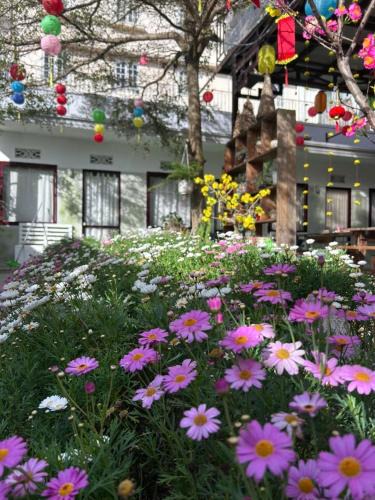 Da Lat Cabin | Abahi homestay 3b