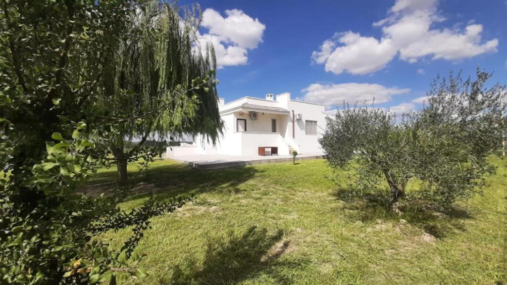 Bernalda House | Abaton - Casa vacanza