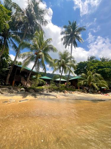 Tioman Island Ski Chalet | ABC Chalet Tioman