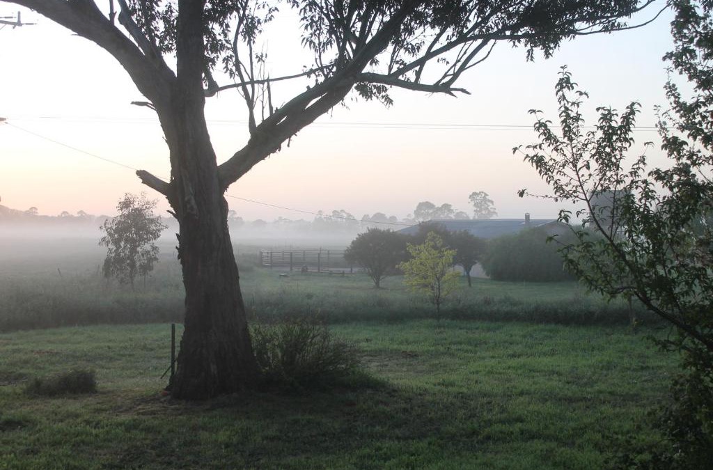 Heyfield House | Abington Farm B & B