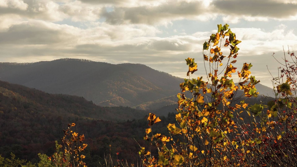 Blue Ridge Cabin | Above The Clouds cabin w/mountain views, hot tub, and game room!