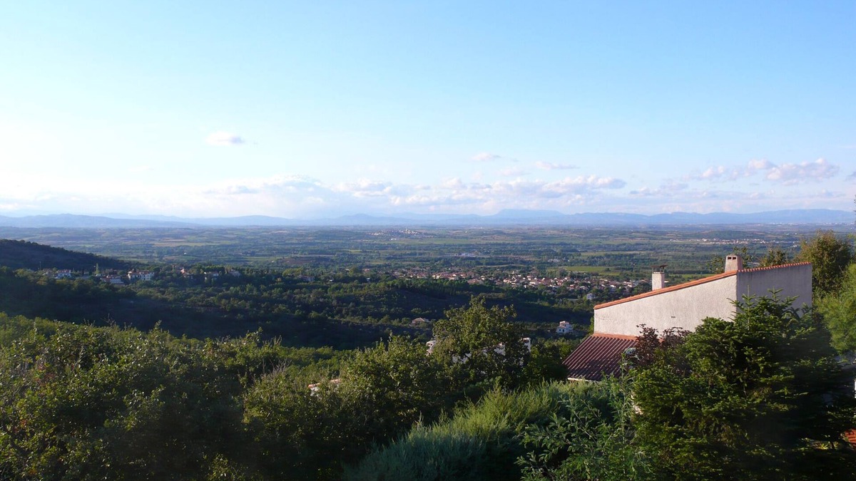 Laroque-des-Alberes Apartment | Above the vineyards on the forest slope: cozy apartment with a dream view