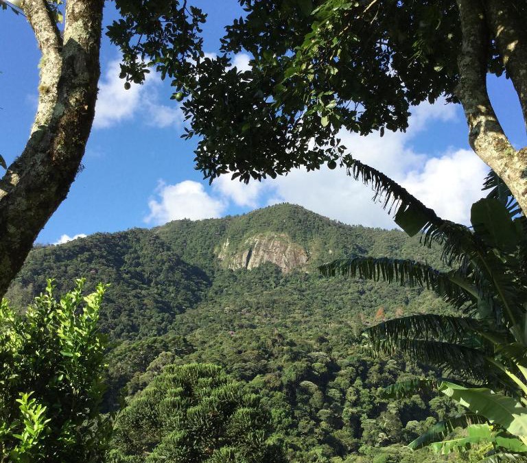 Santo Antonio do Pinhal House | Abrigo da Reserva