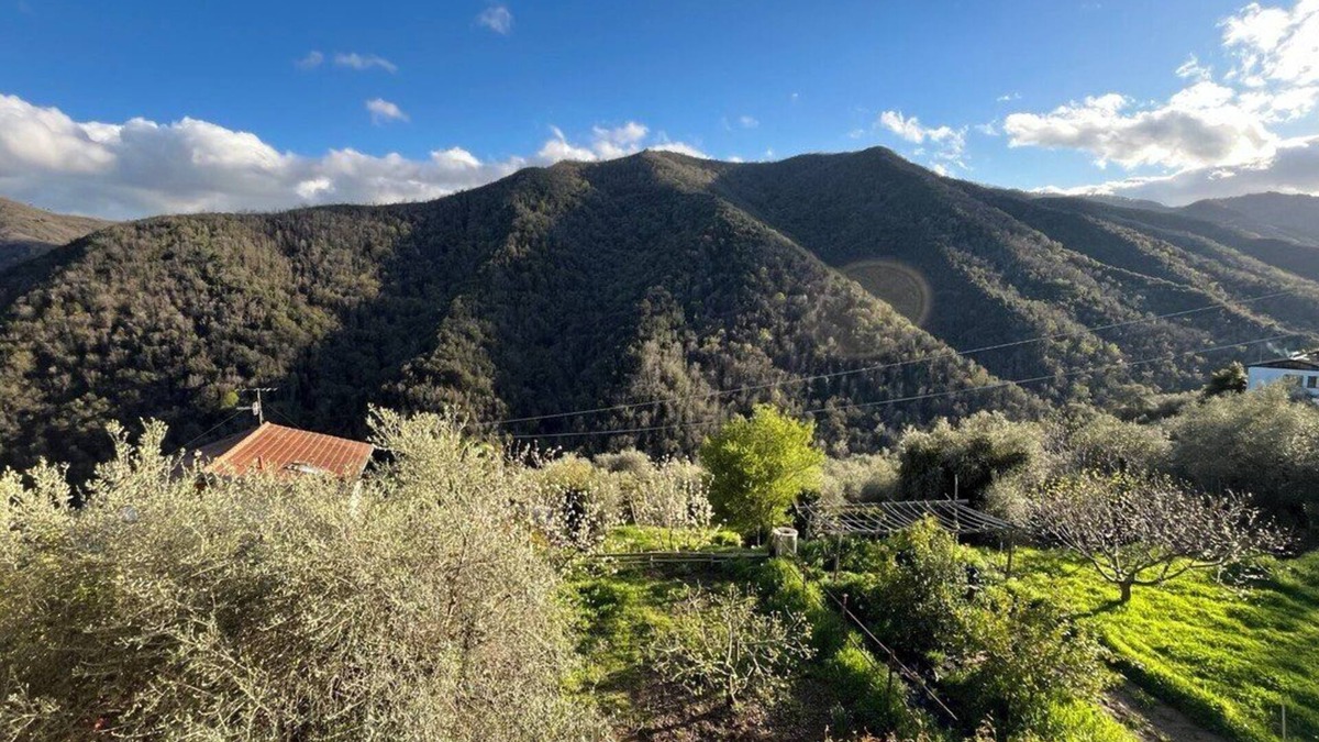 Casanova Lerrone House | [AC & Garden] Olive Grove Oasis