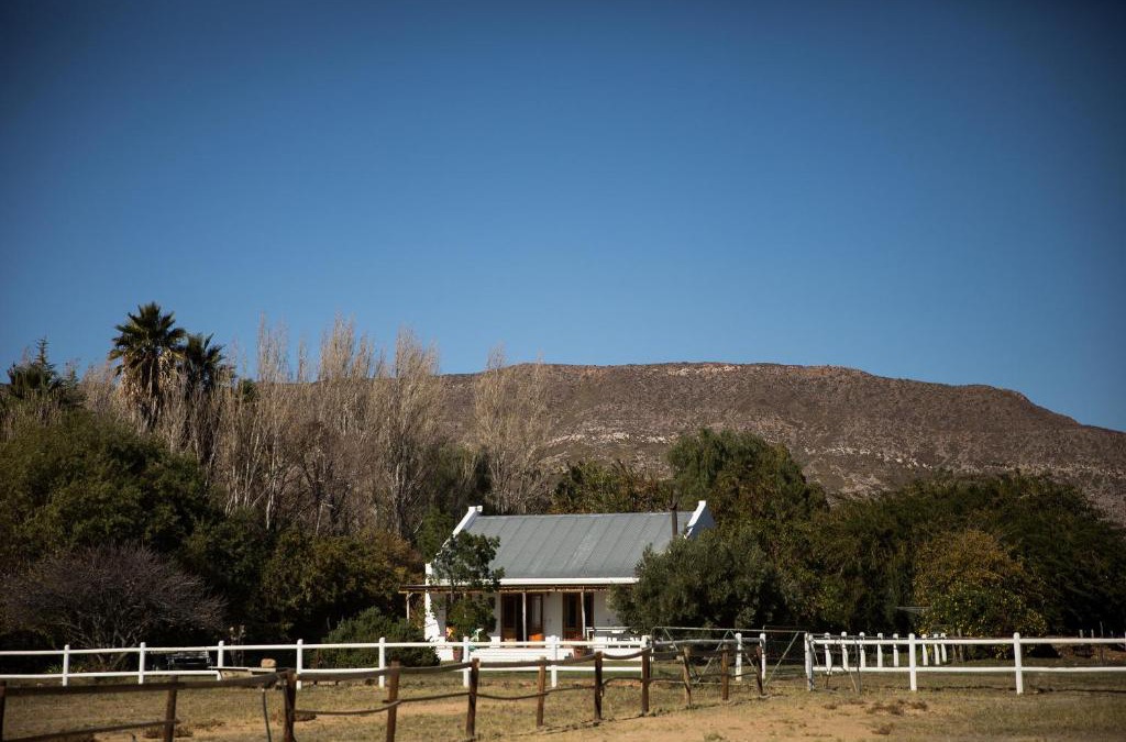Prince Albert House | Acacia Cottage