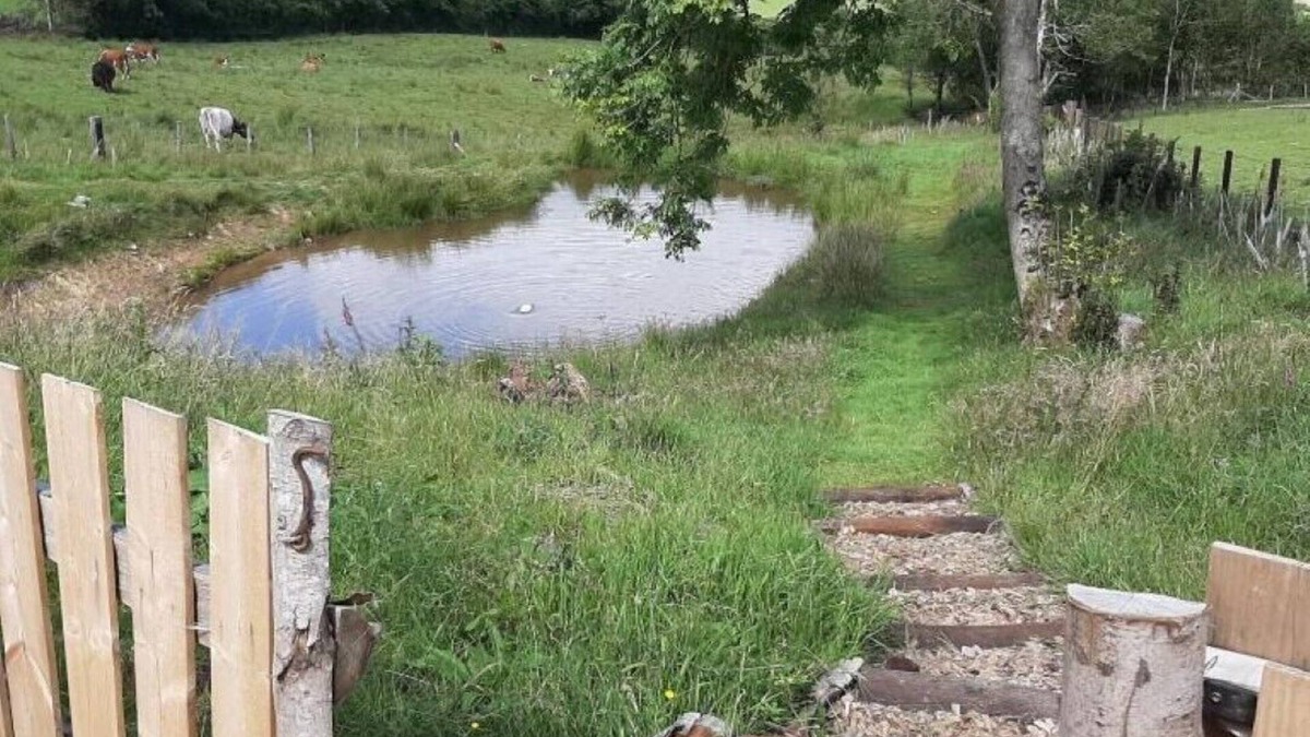 Newcastle-on-Clun Cabin | Accommodation