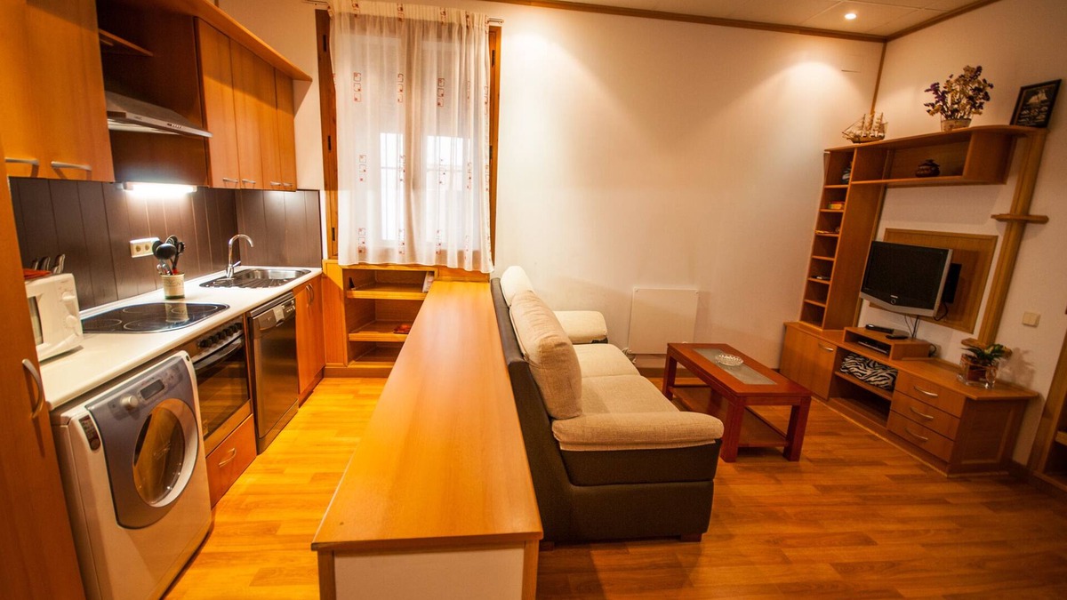 Plasencia Apartment | Acepta mascotas.