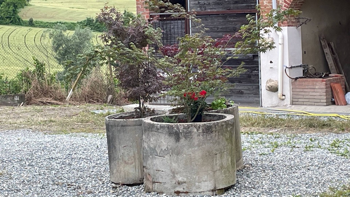Moncalvo Bed & Breakfast | ACERO ROSSO