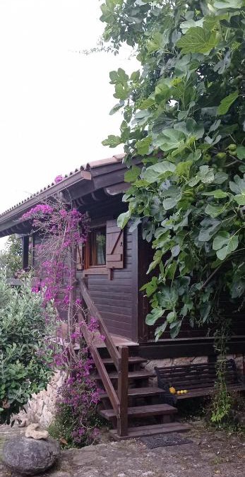 Campo Lameiro House | Acogedora cabaña con piscina