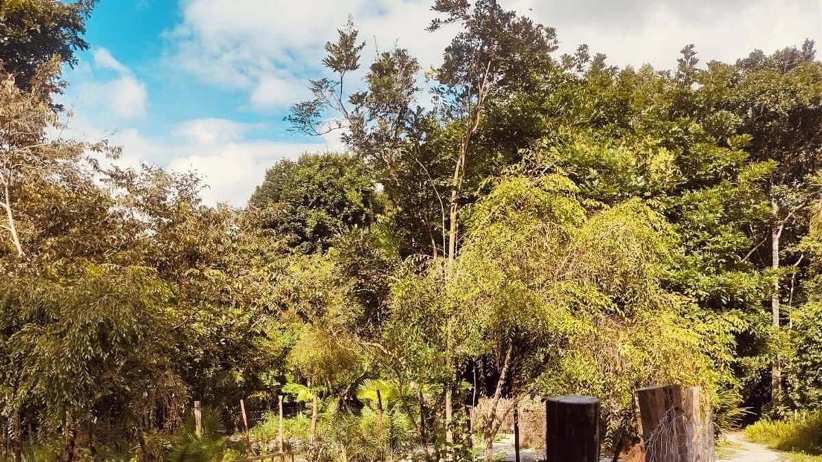 Cairu House | Aconchego Ioguita Moreré