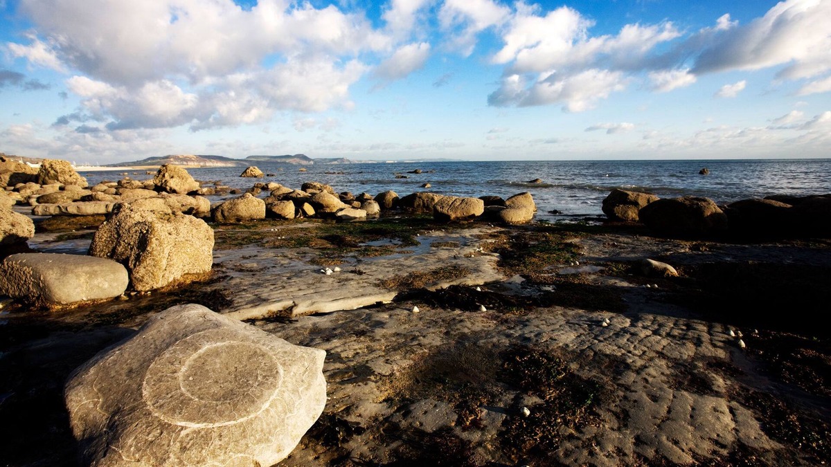 Raymonds Hill Apartment | Acorns large Apartment with own hot tub, rural setting close to Lyme Regis