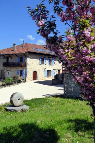 Saint-Maximin Apartment | ADAL-BERHT