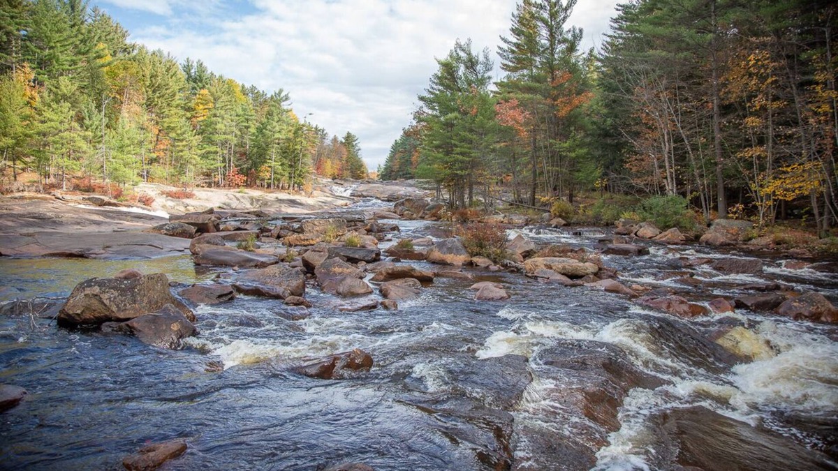 Glenfield Cabin | Adirondack River Lodge/Spectacular Waterfalls/Natural swimming pools.