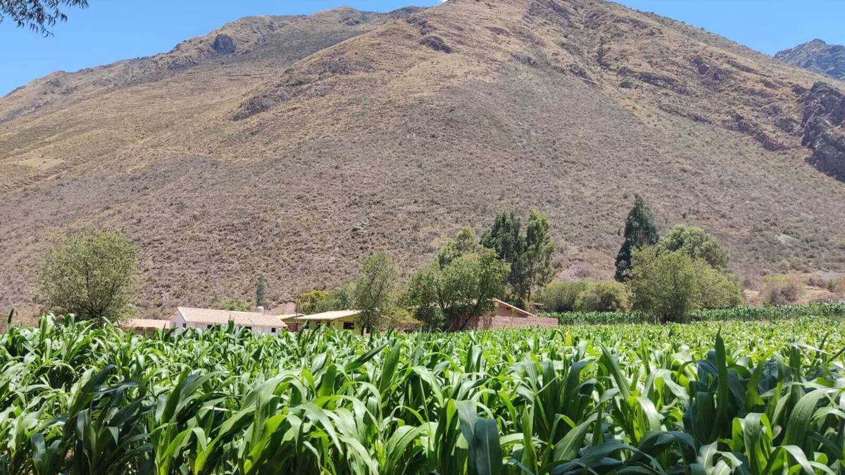 Urubamba House | Adobe house close to all the attractions of the Sacred Valley