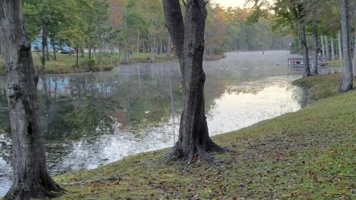 Georgetown Cabin | Adorable 2 story lake front setting.