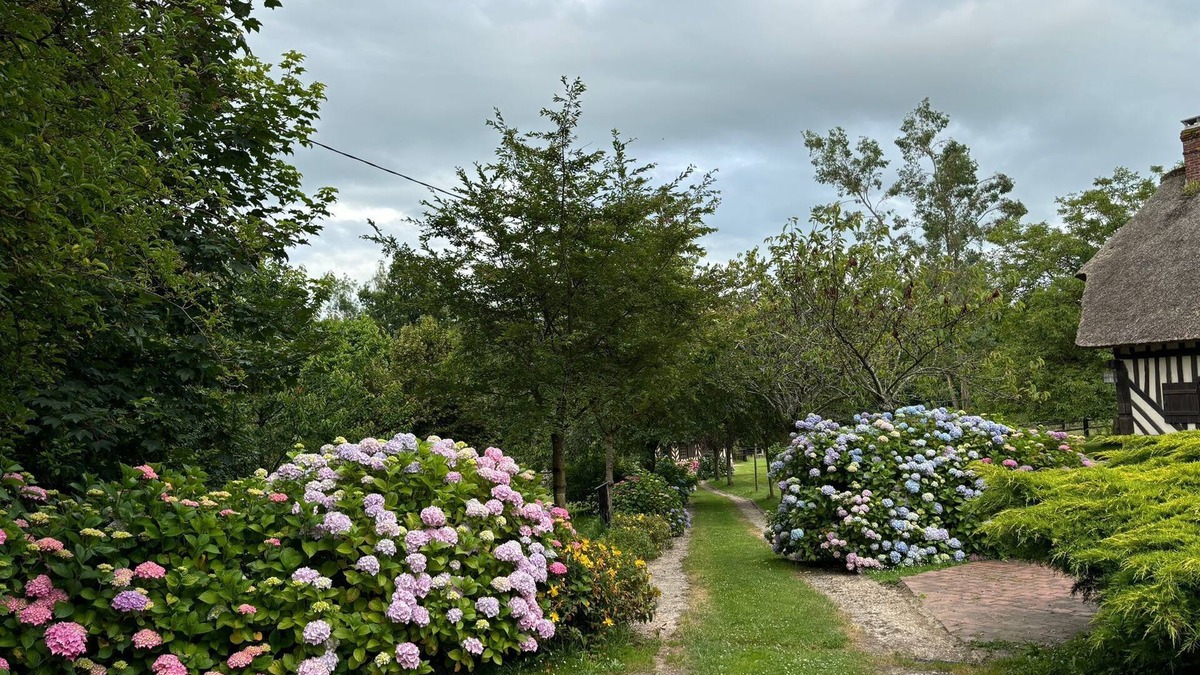 Quetteville House | Adorable Chaumière Proche D'honfleur. Entièrement Rénovée en 2024