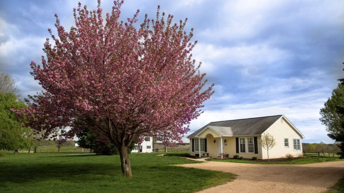 Forest Cottage | Adorable Manor Cottage on West Manor Estate in Forest, Virginia.
