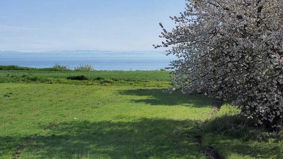 Kettingskov House | "Ady" - 150m from the sea by Interhome