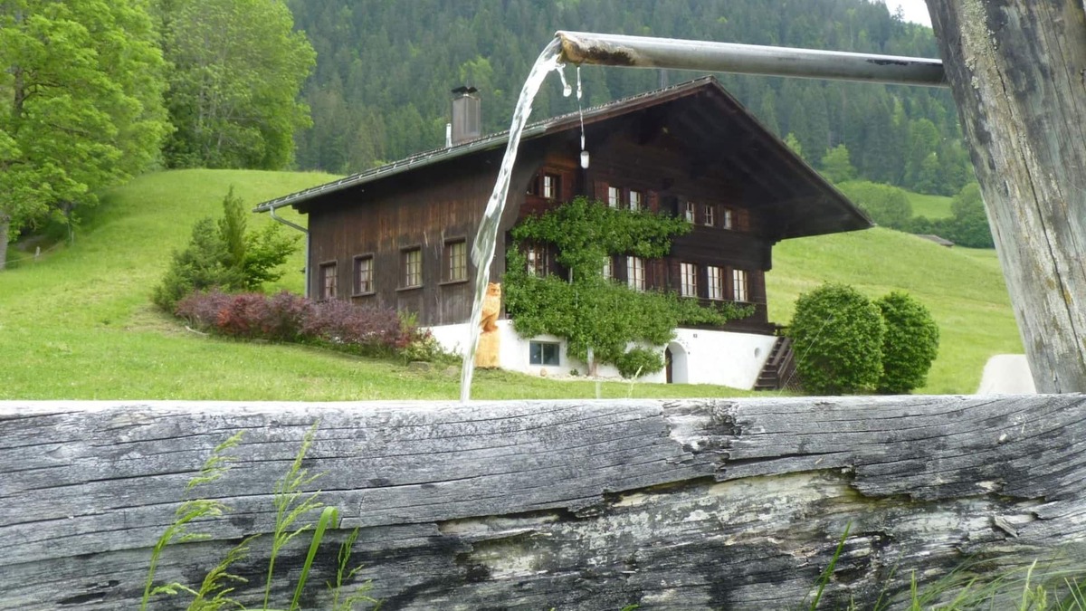 Saanen Apartment | Aerneli, Chalet by Interhome