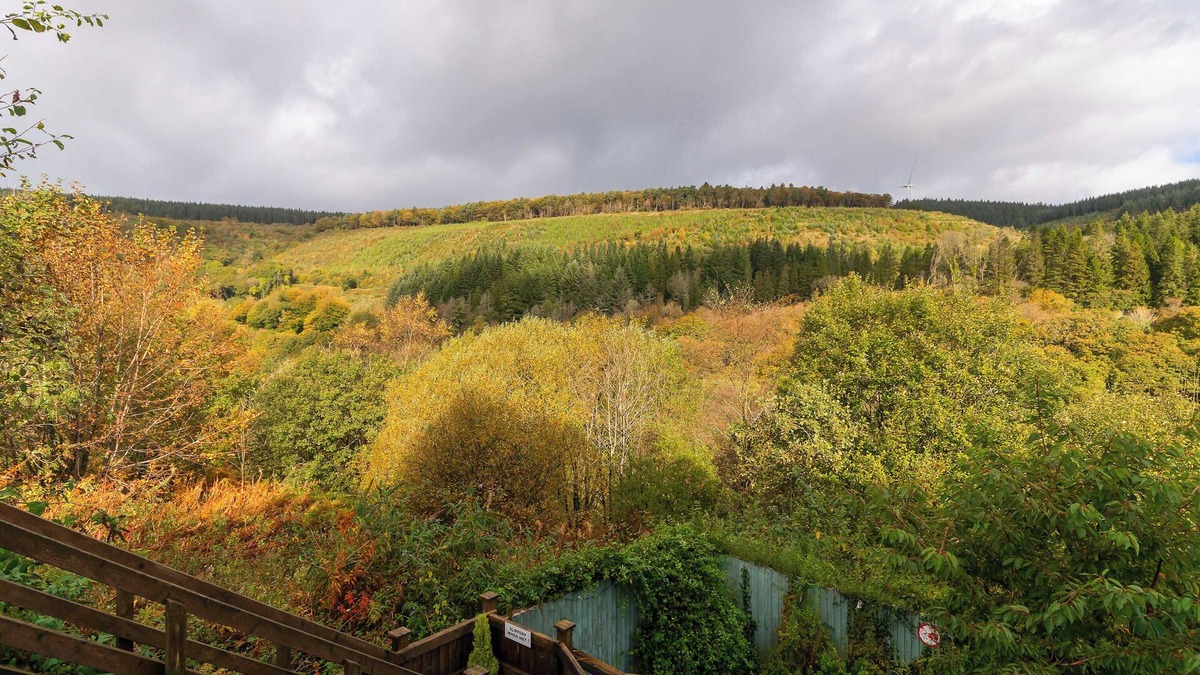 Port Talbot Apartment | Afan Forest Bike Park Lodge Sleeps 22 people