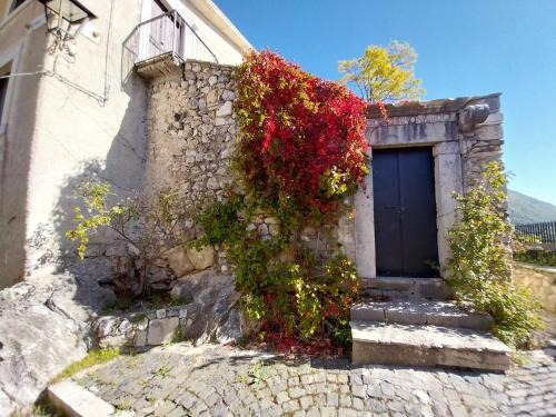 Villetta Barrea Bed & Breakfast | Affittacamere Ellera Verde