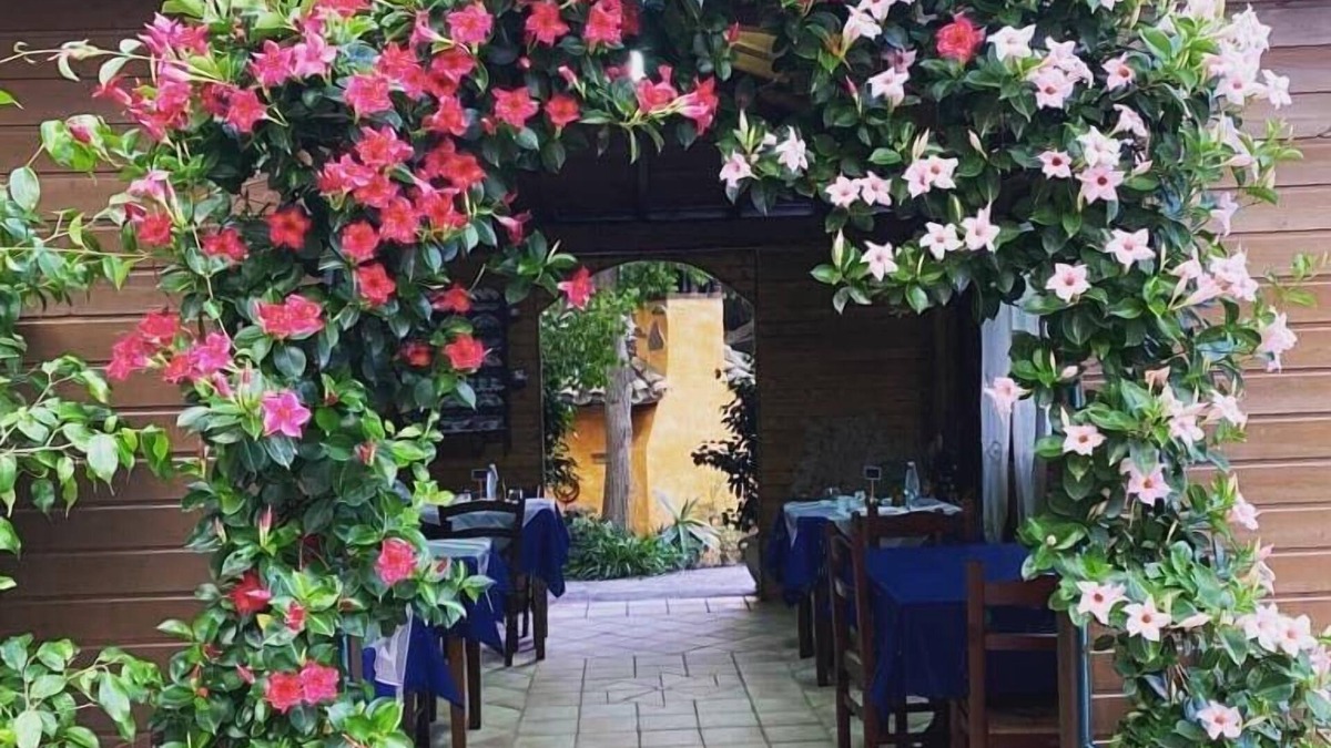 Sant'Anna Arresi Bed & Breakfast | AFFITTACAMERE IL GIRASOLE