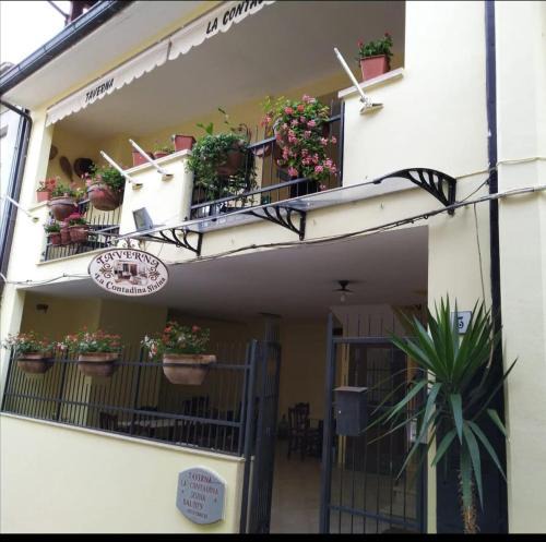 Aliano House | Affittacamere La Contadina Sisina