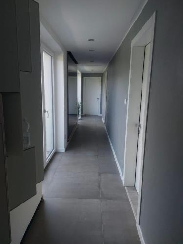 Belluno House | Affittacamere Zafferano