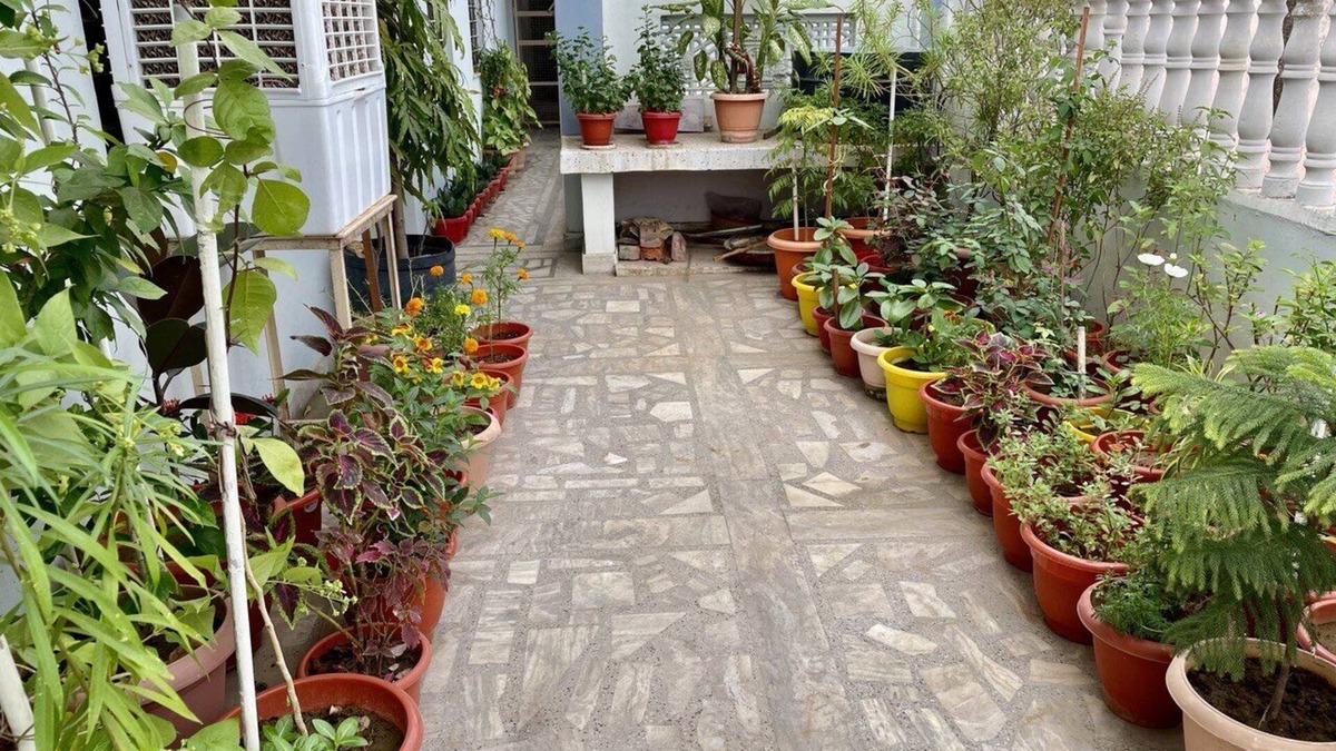 Bharatpur Hotel | Affordable and Combatable stay in the heart of city with nearby site seeing.