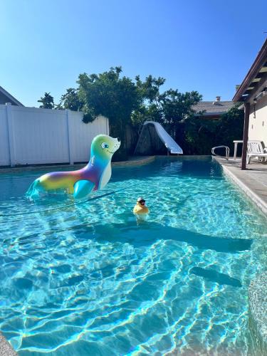 Clairemont Mesa East House | Affordable Private Room with Pool Access and Free Parking Near Zoo and Beaches