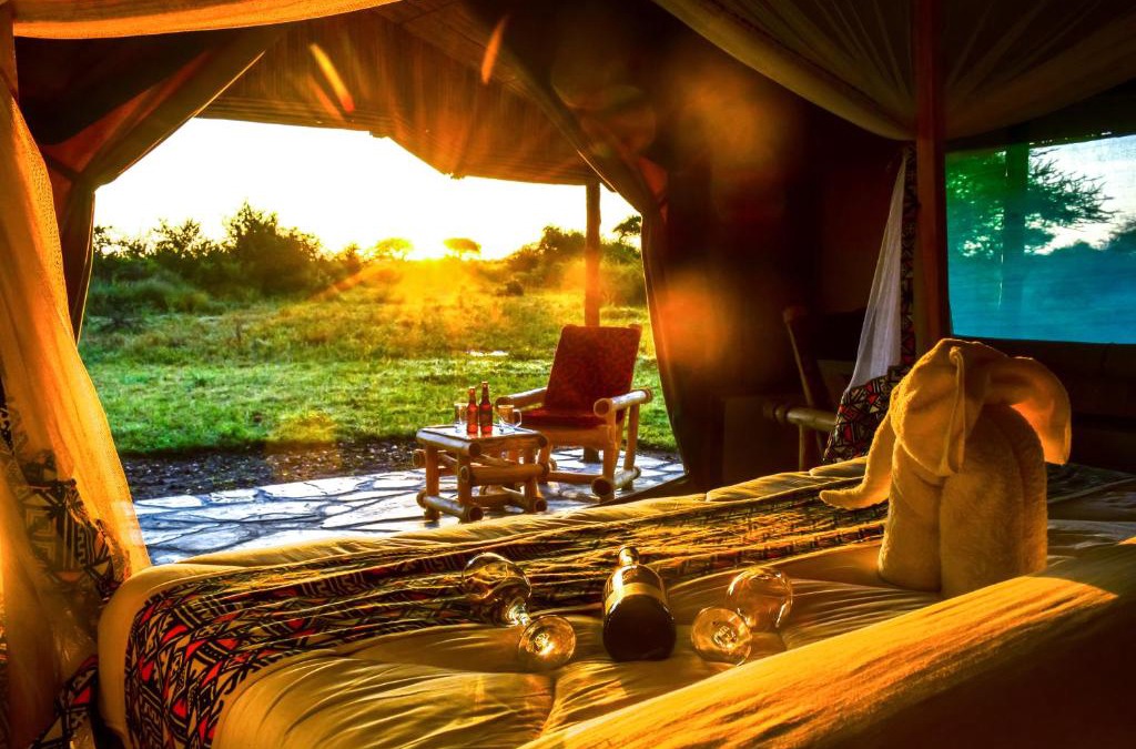 Serengeti National Park Cabin | Africa Safari Serengeti Ikoma