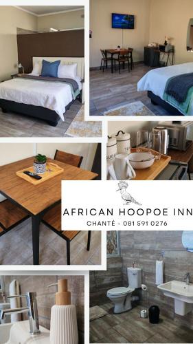 Polokwane Bed & Breakfast | African Hoopoe Inn