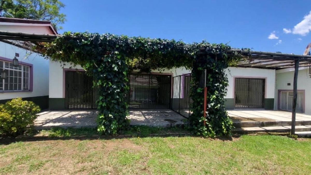 Mbabane Bed & Breakfast | African Violet
