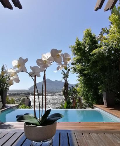 Capri Apartment | African Violet - Terraces