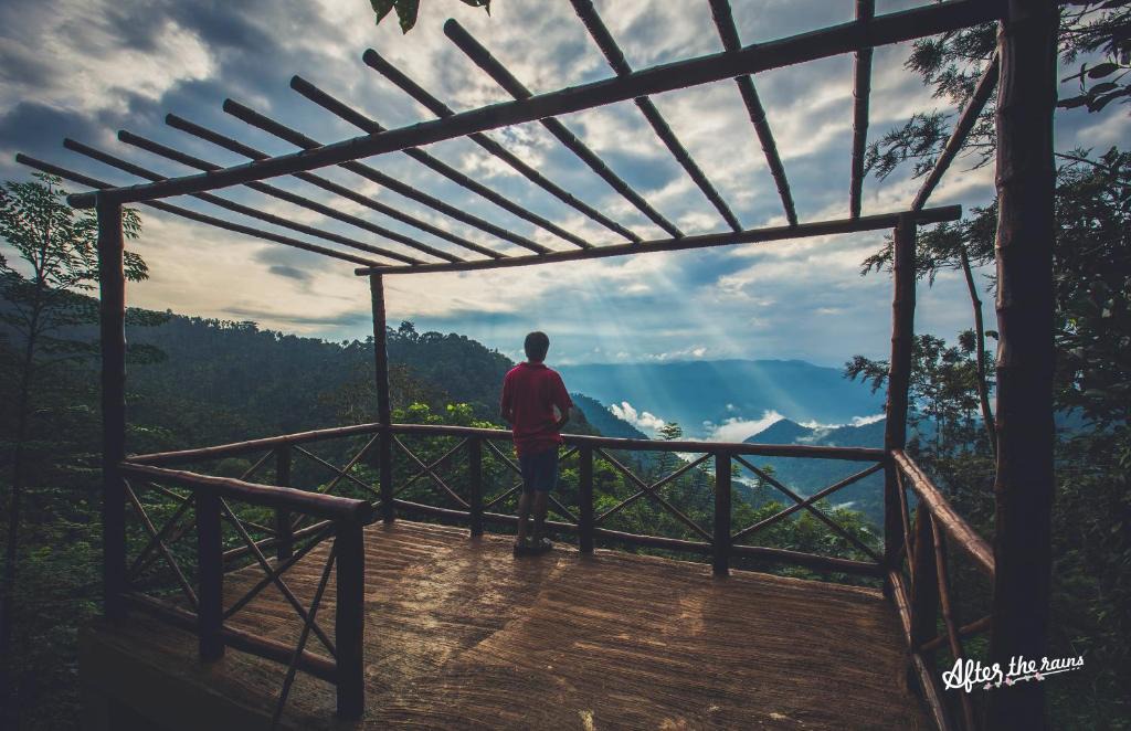 Meppadi Resort | After the Rains - Rainforest Lodge