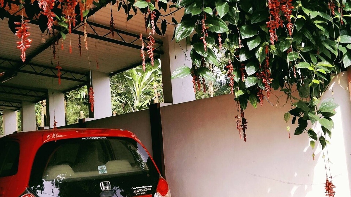 Chikkamagaluru House | AGALAGANDI HOMESTAY
