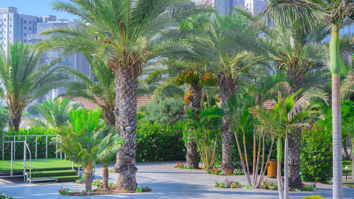 Ashkelon Hotel | Agamim Hotel