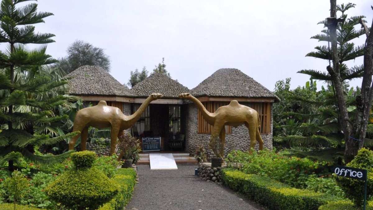 Bahir Dar Cabin | Agar Lodge