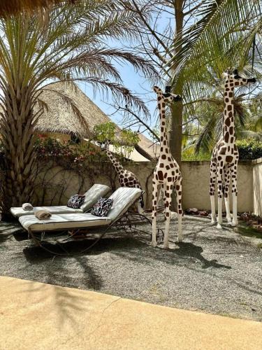 Saly Villa | Agence Adjana Resort
