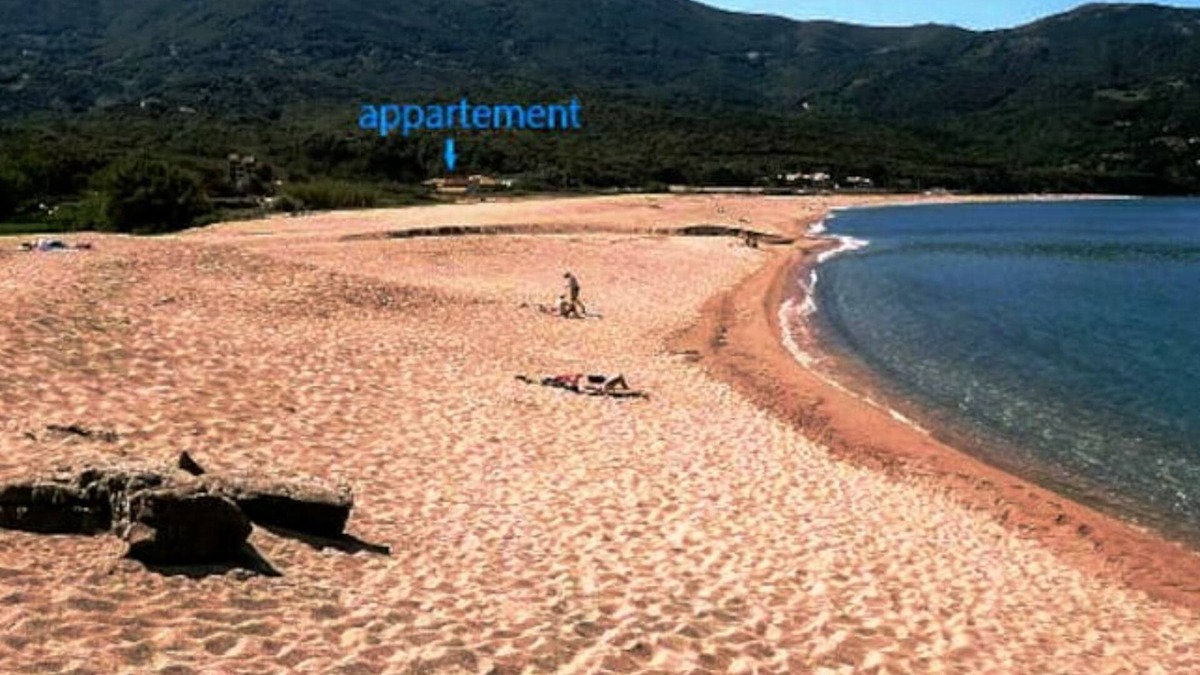 Calcatoggio Apartment | Agréable Appartement Piscine,plage,jardin