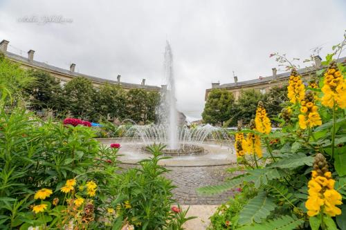 Toul Apartment | Agreable et moderne appartement Toul centre