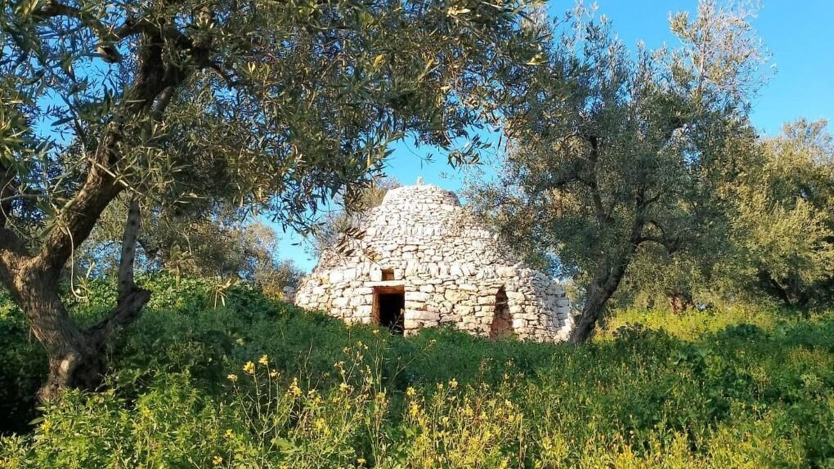 Bisceglie House | Agricampeggio wishne