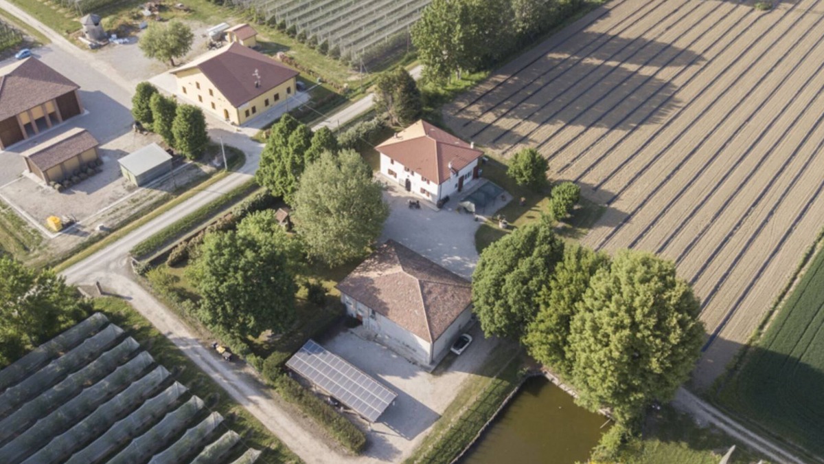 San Donino Apartment | Agriturismo Il Bio Nonno - Alloggio Coccinella